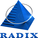 Logo of Radixweb – An IT Software and App Development Company